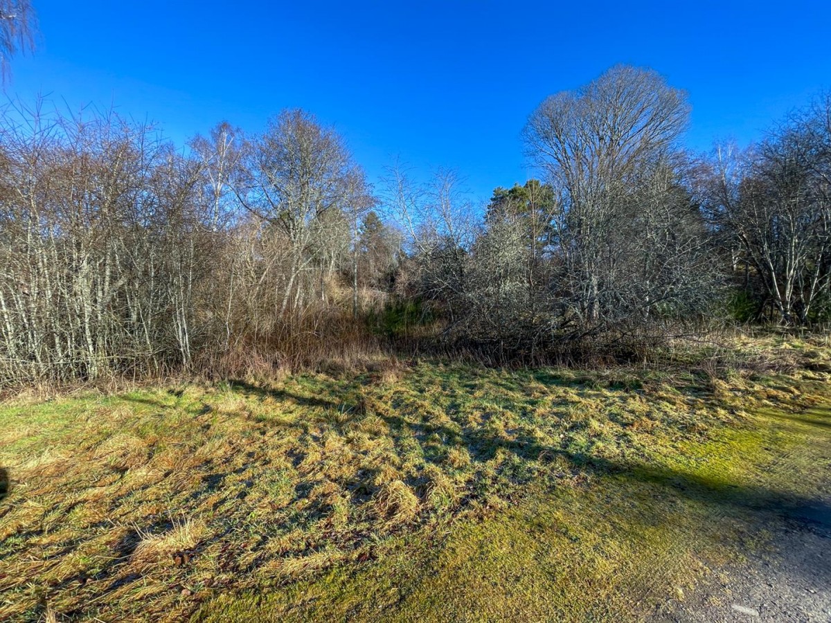 Images for House Site, Mill Lane, Nethy Bridge EAID:massoncairnsltdapi BID:1