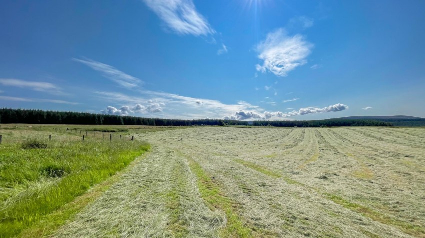 Images for Upper Coull Farmhouse & 28 Acres, Glenlivet